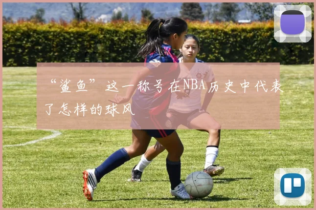 “鲨鱼”这一称号在NBA历史中代表了怎样的球风