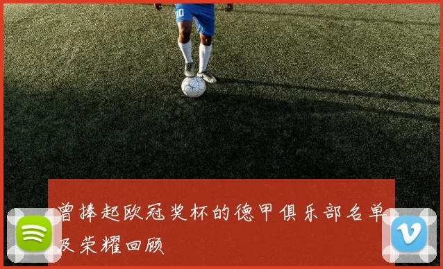 曾捧起欧冠奖杯的德甲俱乐部名单及荣耀回顾