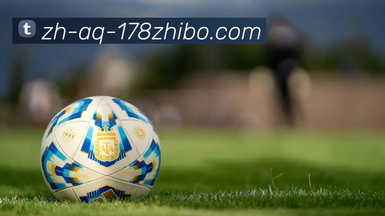 178体育直播APP 封面图